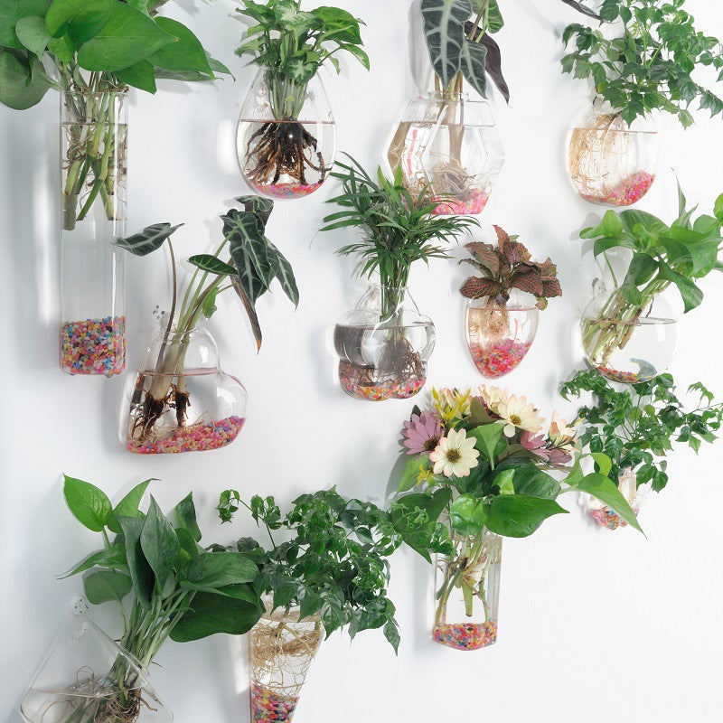 Hanging Hydroponic Glass Vase for Plants Wall Decor