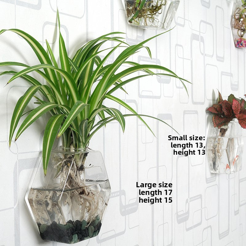 Hanging Hydroponic Glass Vase for Plants Wall Decor
