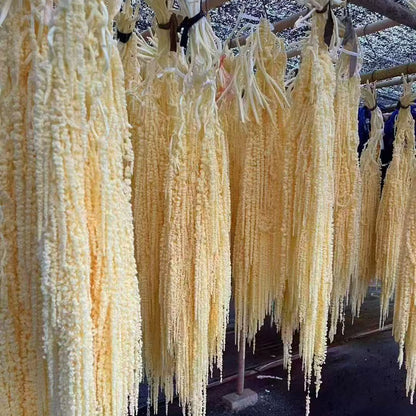 Hanging Preserved Flower Arrangements