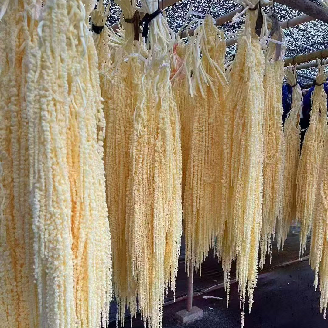 Hanging Preserved Flower Arrangements