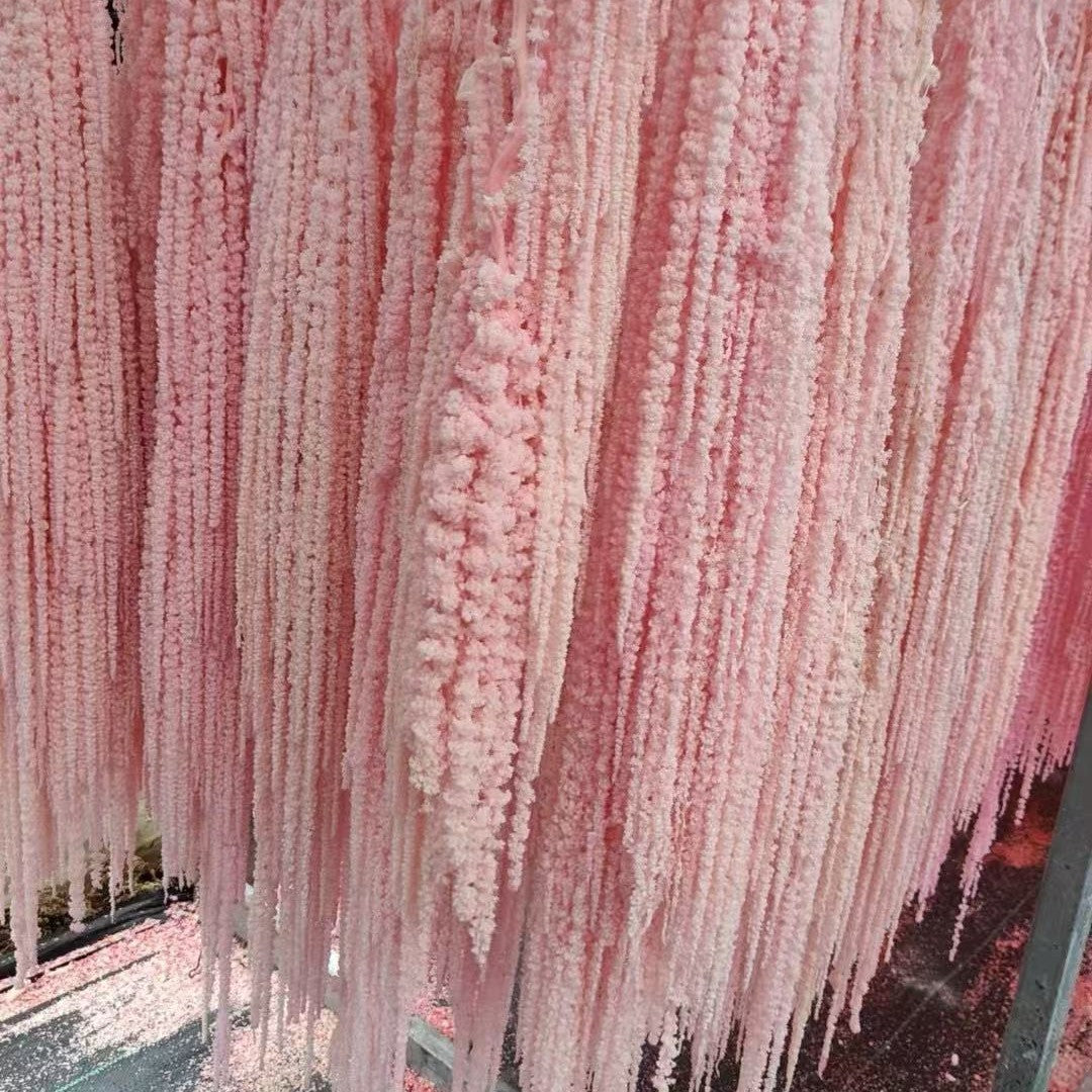 Hanging Preserved Flower Arrangements