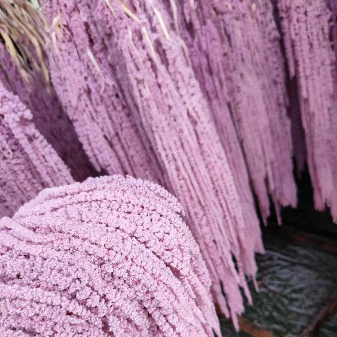 Hanging Preserved Flower Arrangements