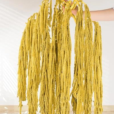 Hanging Preserved Flower Arrangements