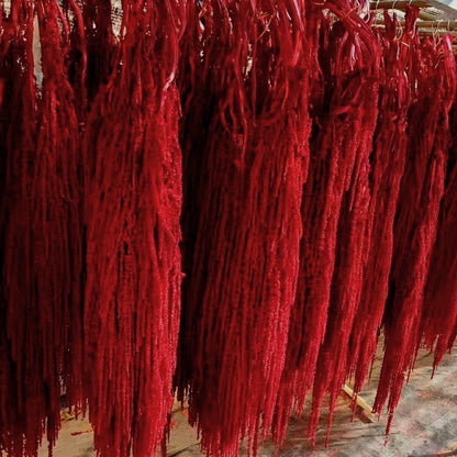Hanging Preserved Flower Arrangements