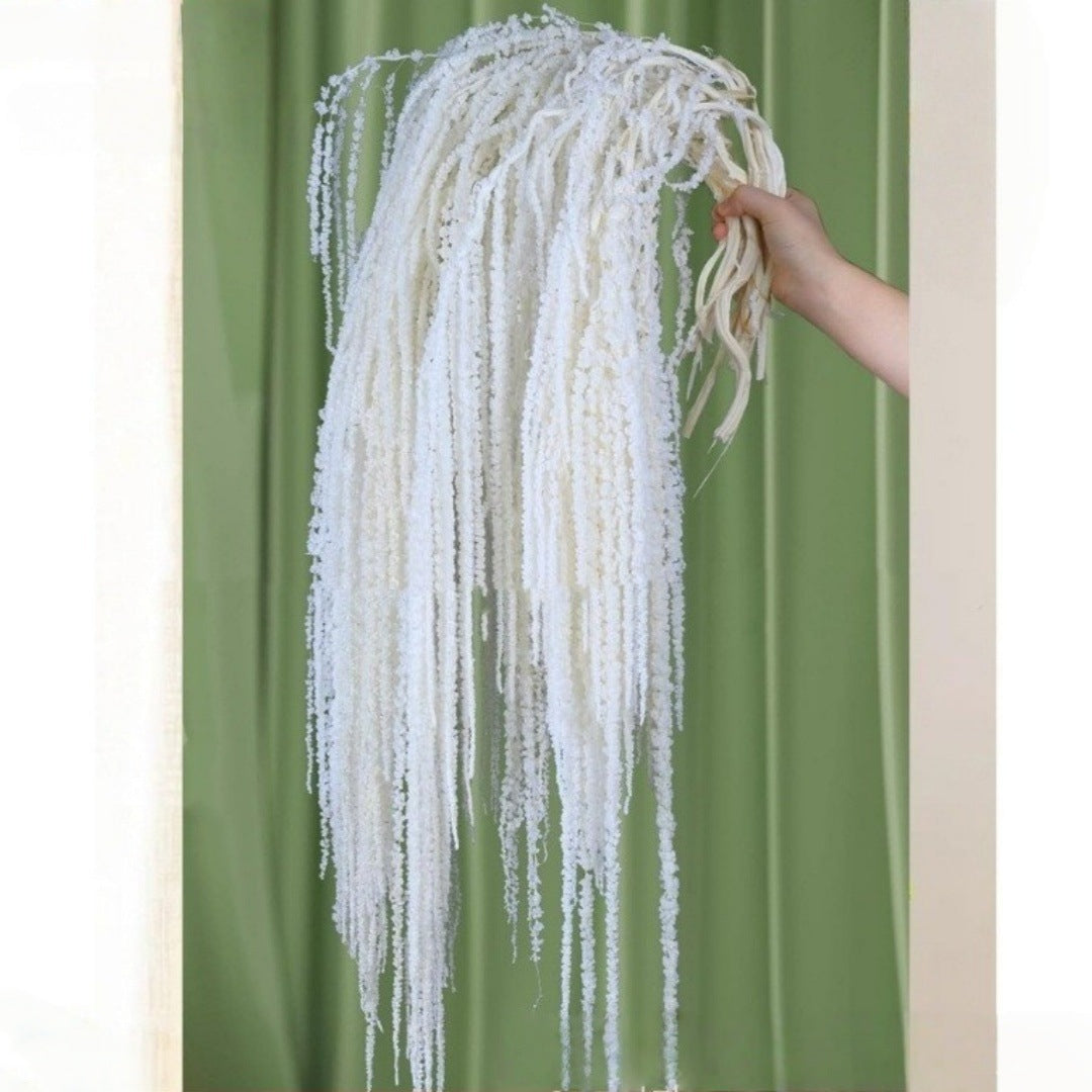 Hanging Preserved Flower Arrangements