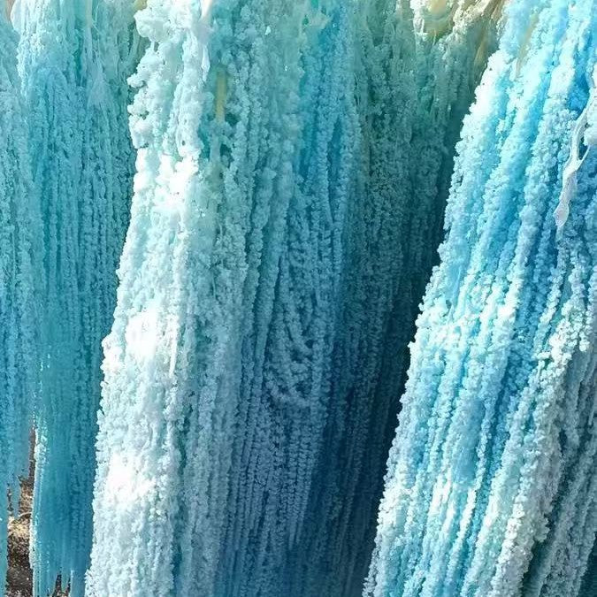 Hanging Preserved Flower Arrangements