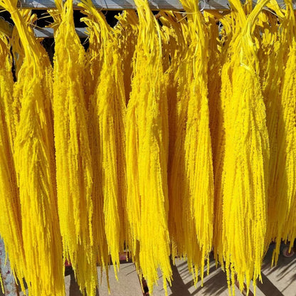 Hanging Preserved Silk Flower Arrangement