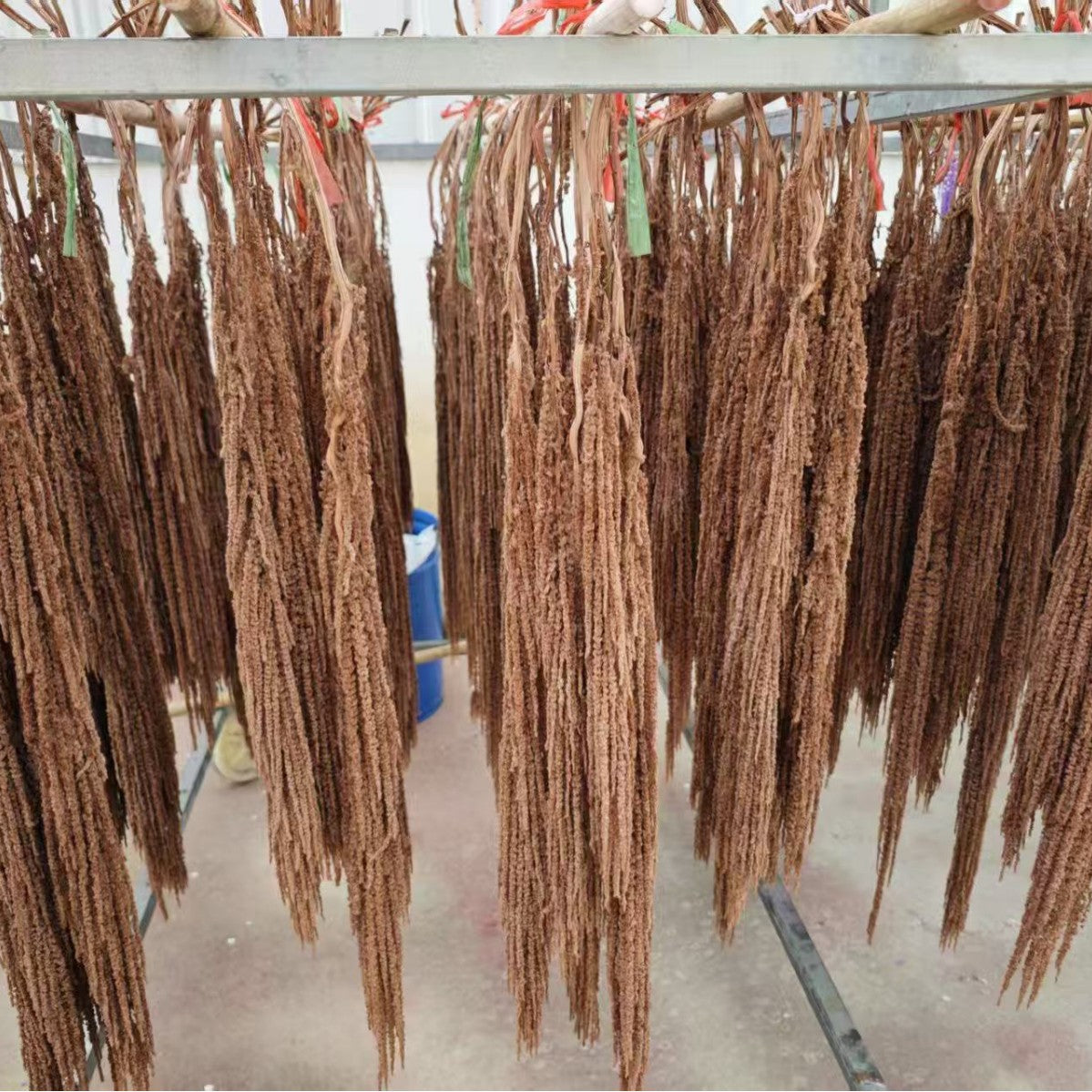 Hanging Preserved Silk Flower Arrangement