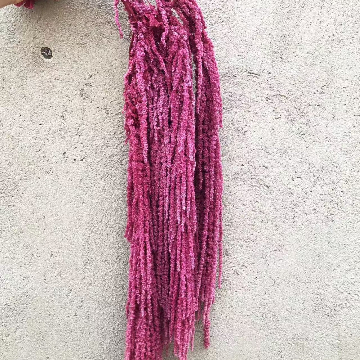 Hanging Preserved Silk Flower Arrangement
