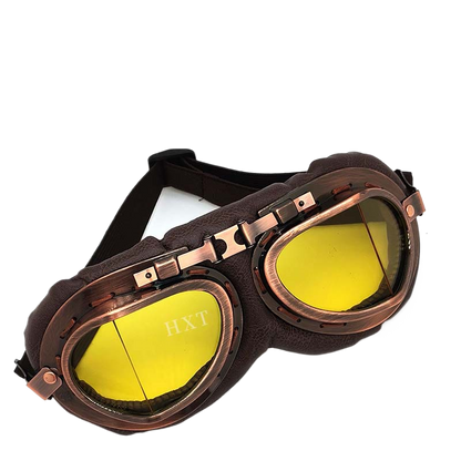 Harley Goggles
