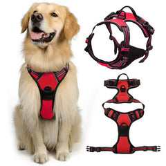 Black Harness