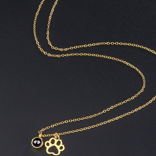 HD Projection Photo Necklace