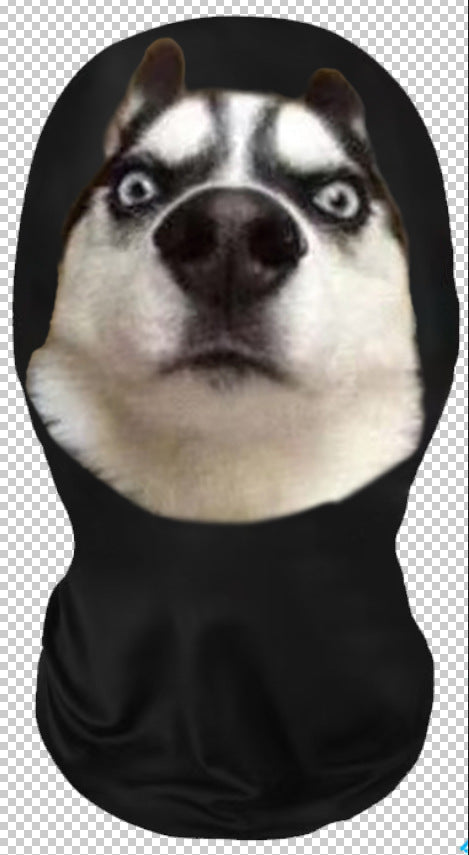 Headgear funny mask