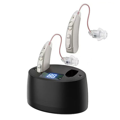 Hearing Aid Digital