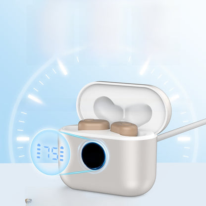 hearing aid