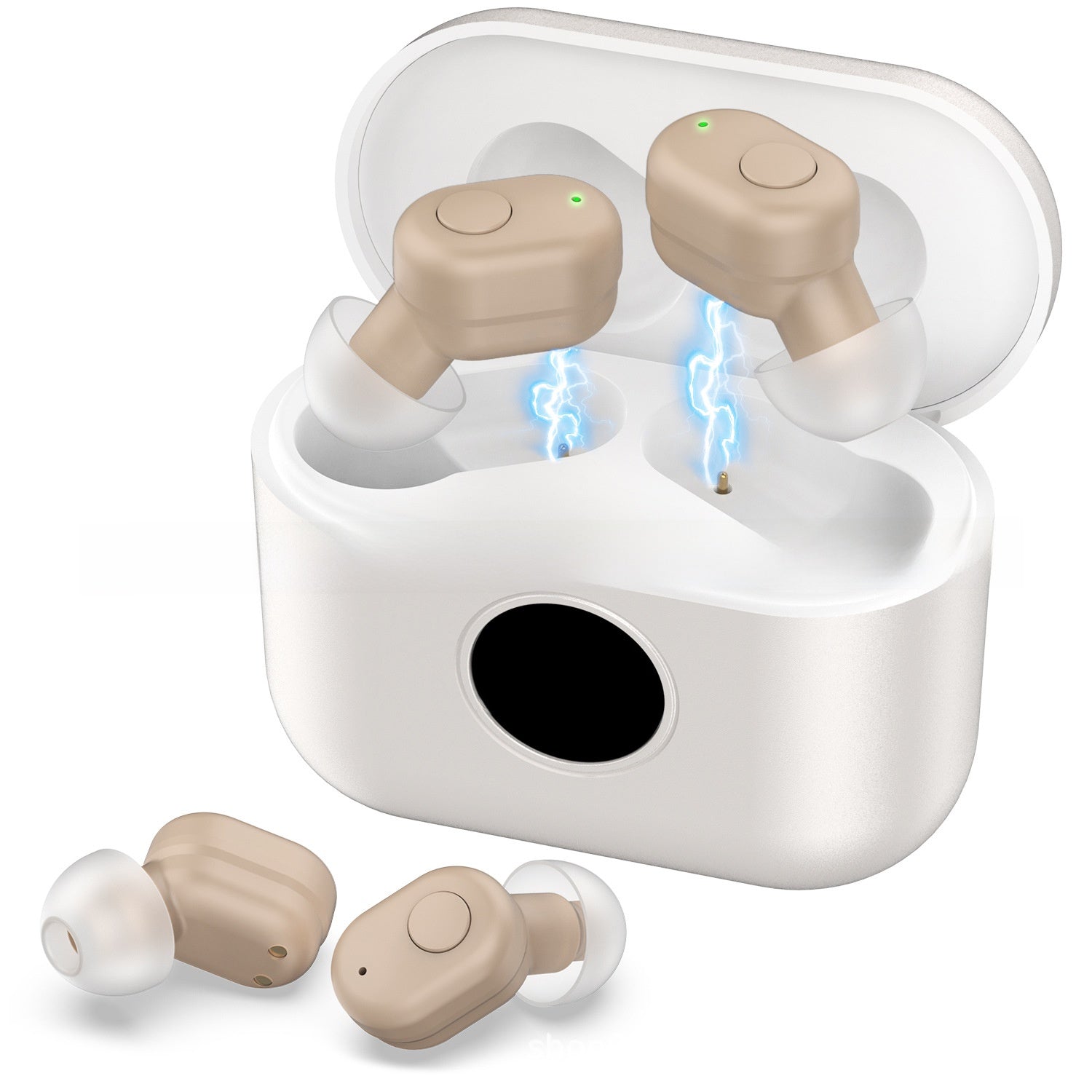 hearing aid