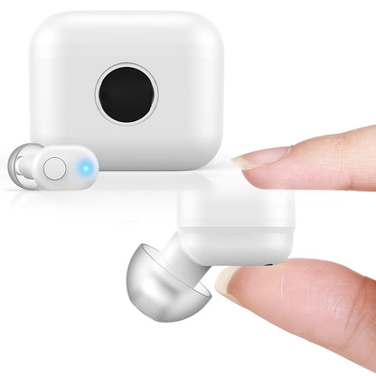 hearing aid