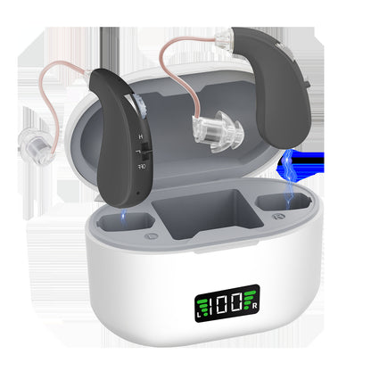Hearing Aid