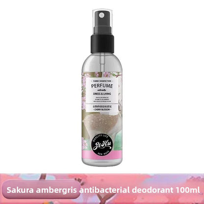 Helmet cleaner