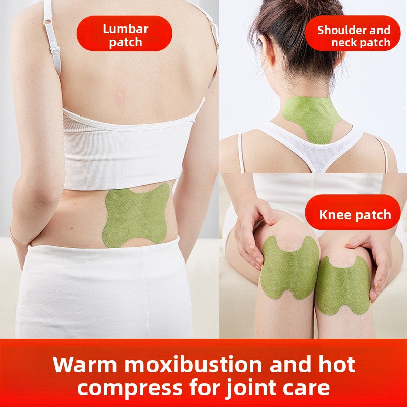 Herbal Medicated Plaster
