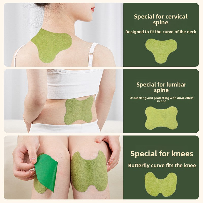 Herbal Medicated Plaster