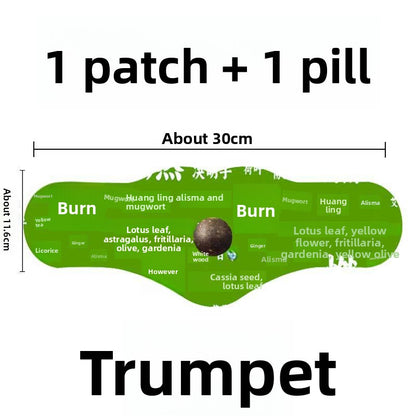 Herbal medicinal patches