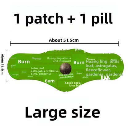 Herbal medicinal patches