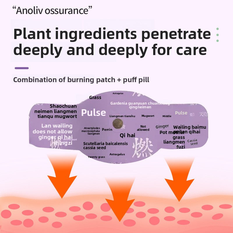 Herbal Moxibustion Abdominal Patch