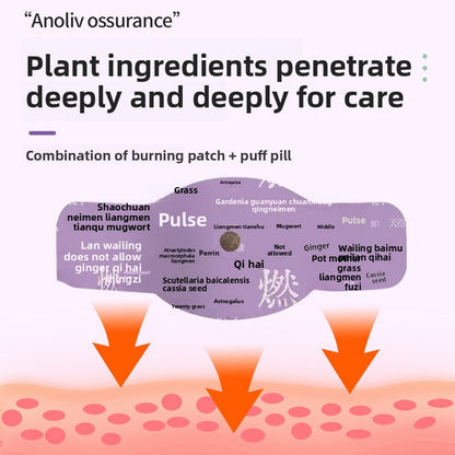 Herbal Moxibustion Abdominal Patch