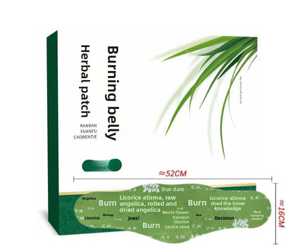Herbal Moxibustion Belly Patches