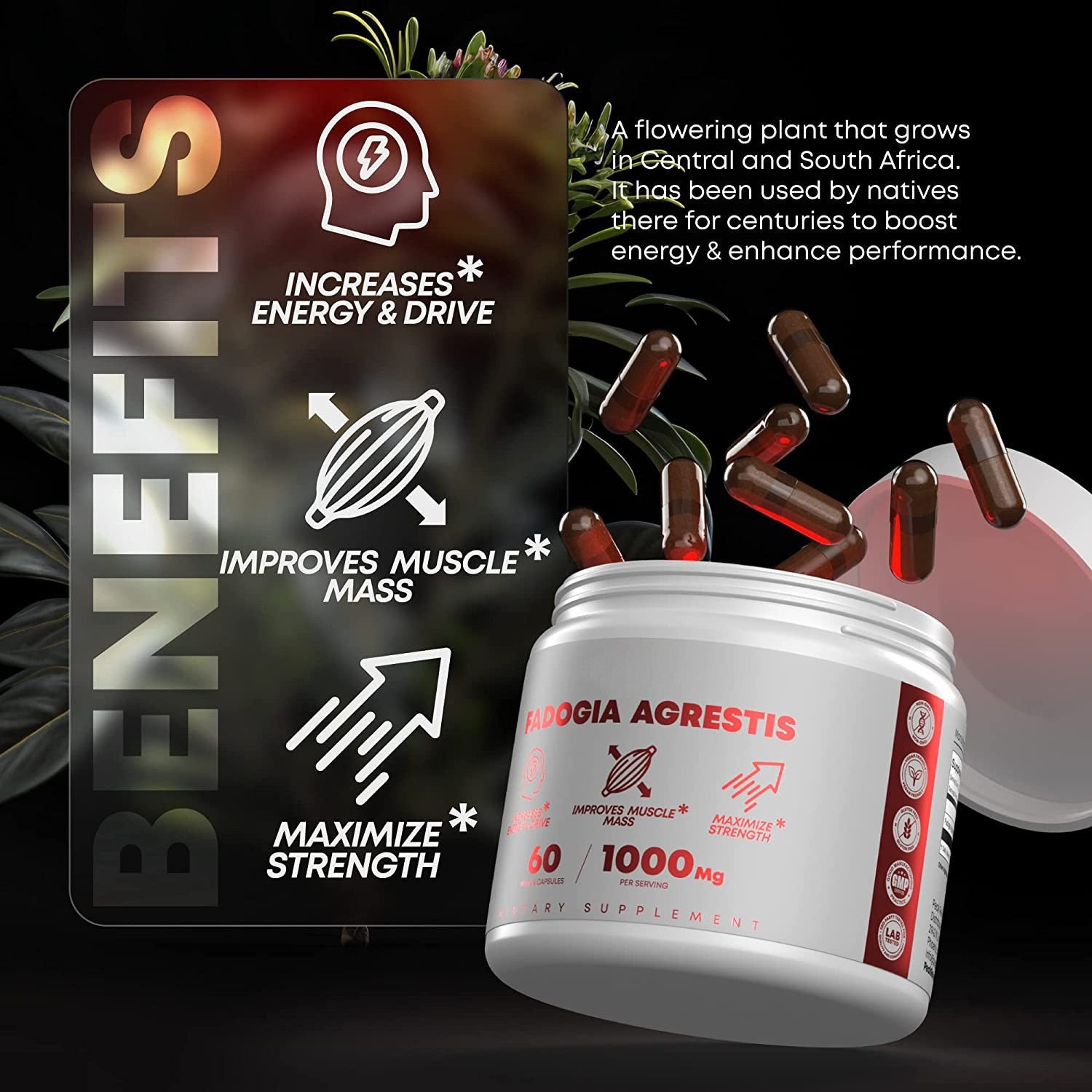 Herbal supplement capsules