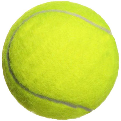 High elasticity tennis racket