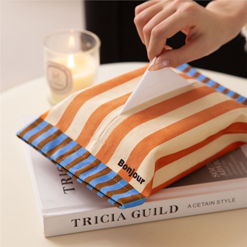 High-end tissue box car tissue box