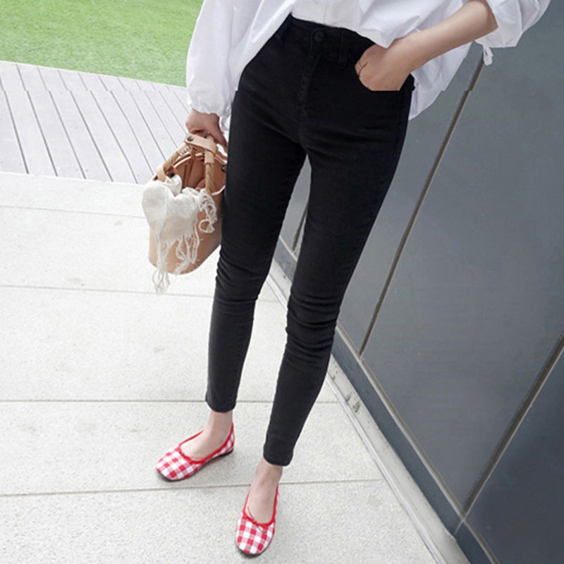 High-Waisted Pants