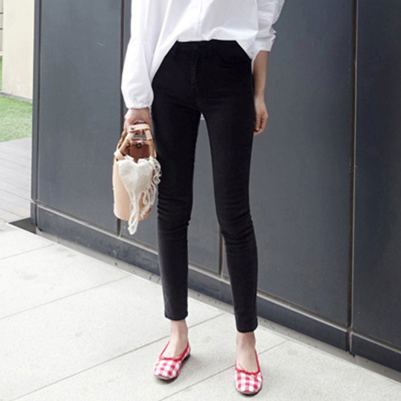 High-Waisted Pants