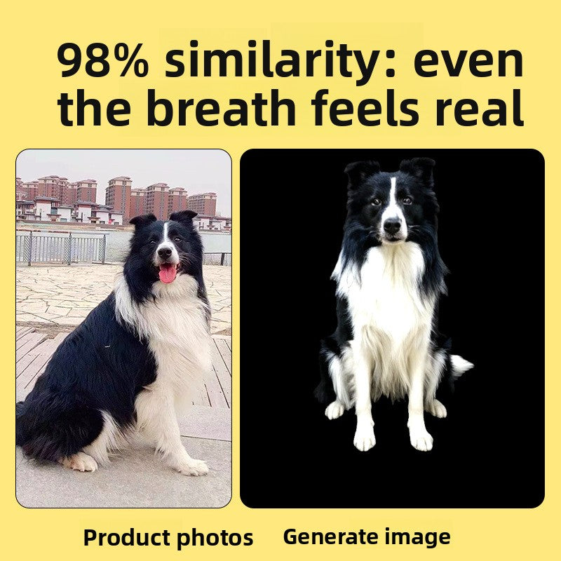 Holographic Pet Memorial Projector