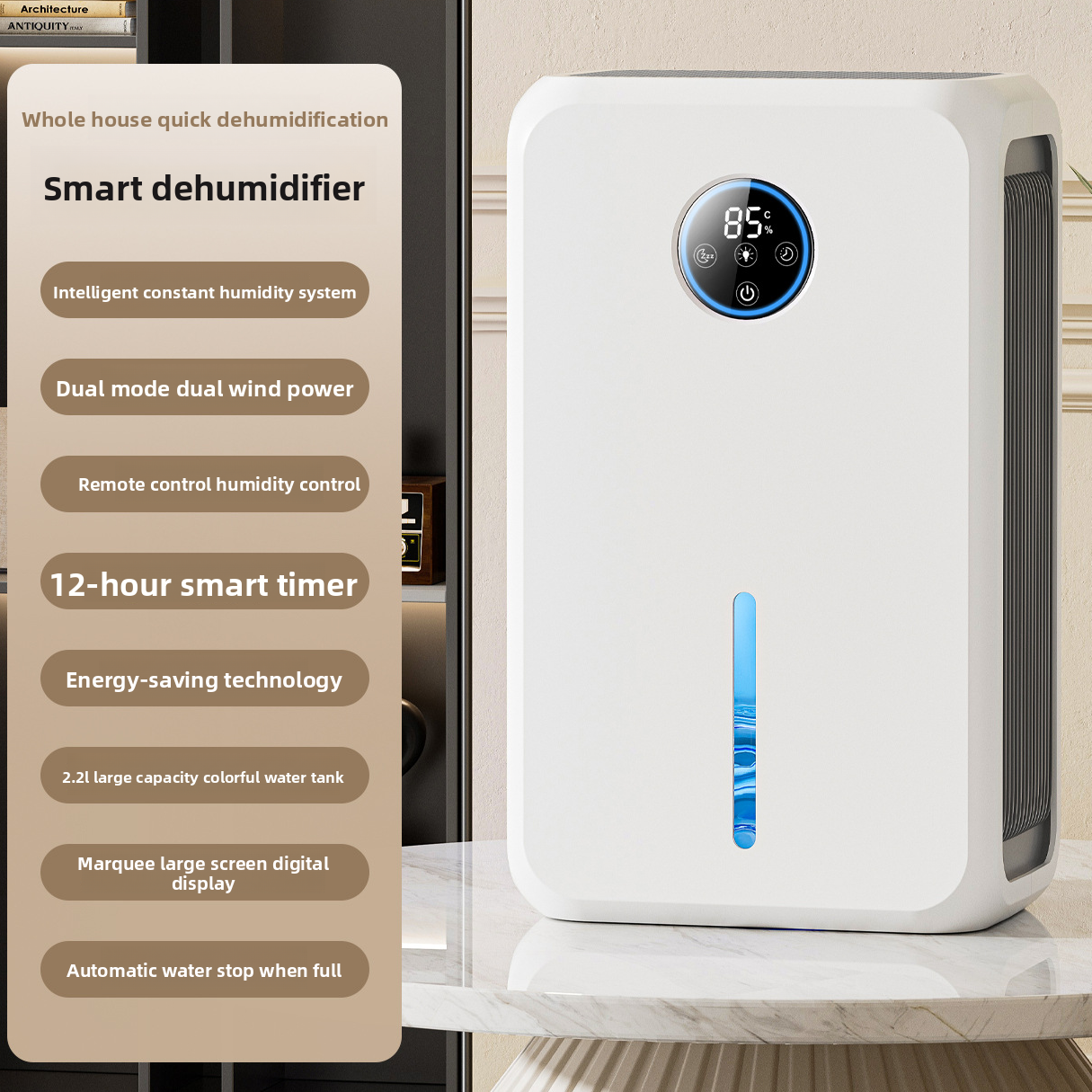 Home dehumidifier