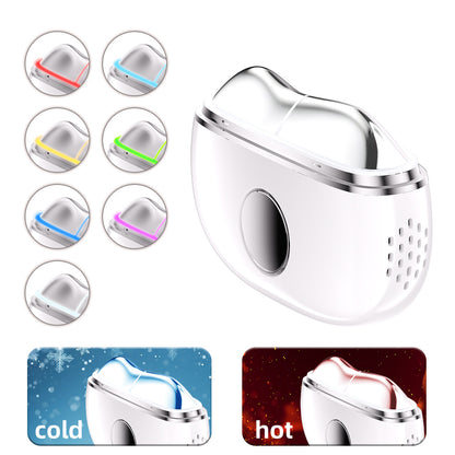 Home Facial Massager