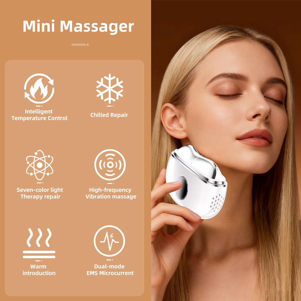 Home Facial Massager