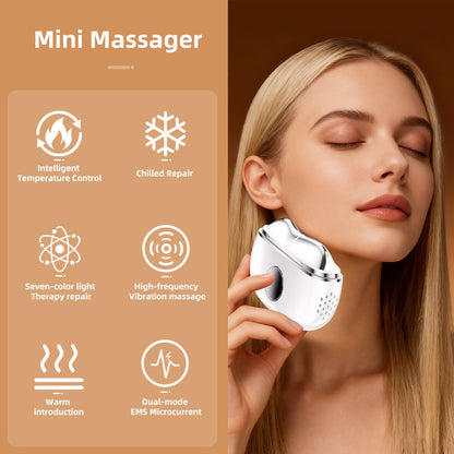 Home Facial Massager
