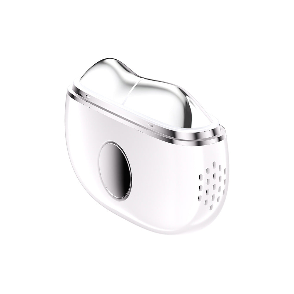 Home Facial Massager