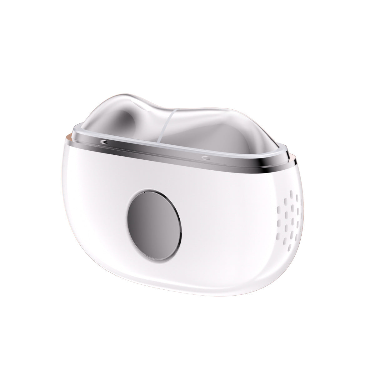 Home Facial Massager