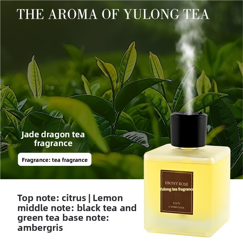 Home Fragrance Diffuser with 10 Scents