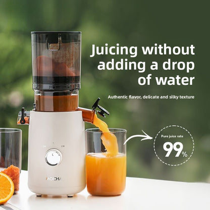 Home fully automatic multi-functional juicer