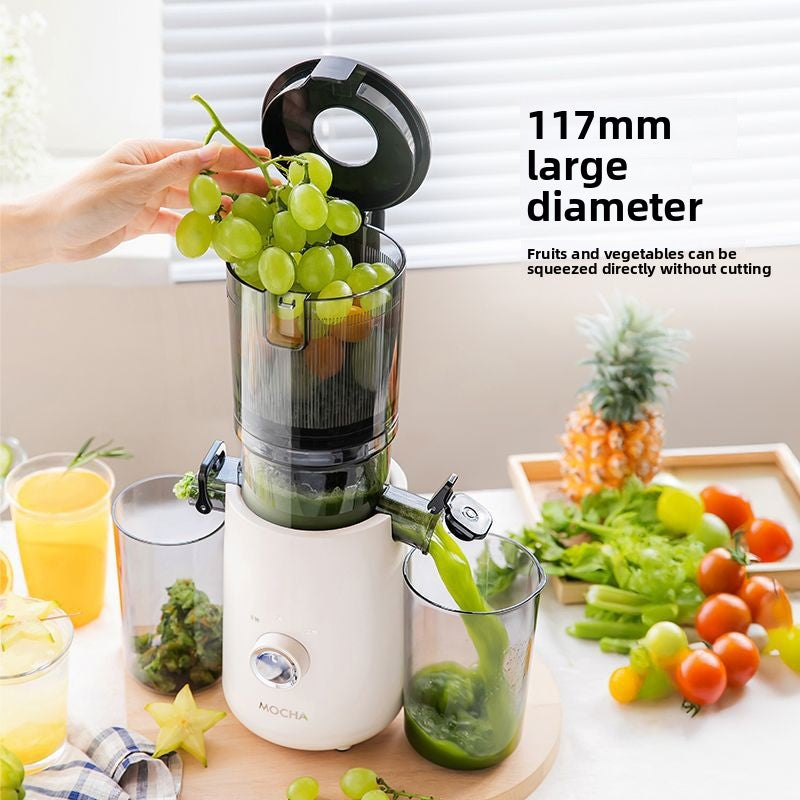 Home fully automatic multi-functional juicer