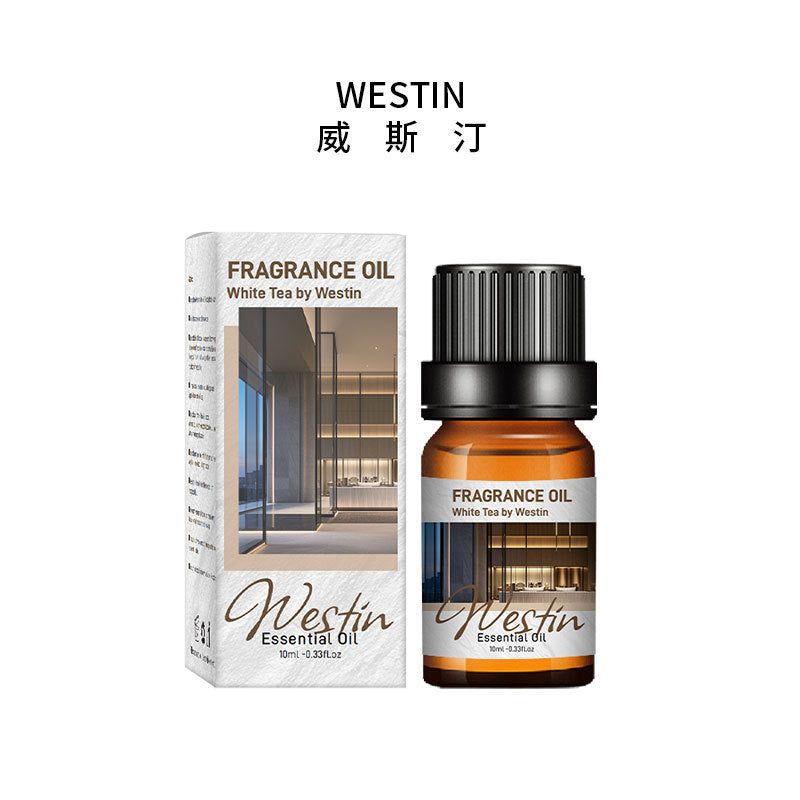 Home Humidifier Aromatherapy Diffuser Stone Essential Oil