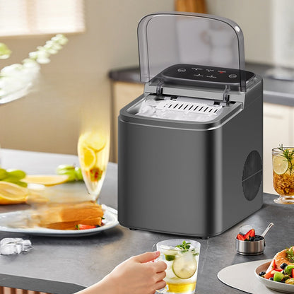 Home ice maker