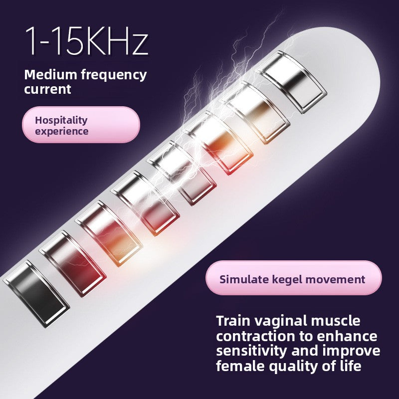 Home Pelvic Floor Muscle Repair Instrument