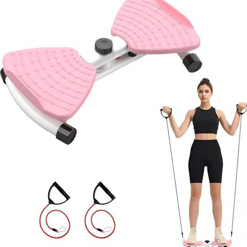 Home Waist Twister Fitness Equipment