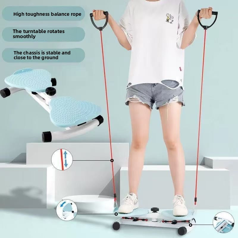 Home Waist Twister Fitness Equipment